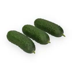 МАКСИМОРА F1 product photo