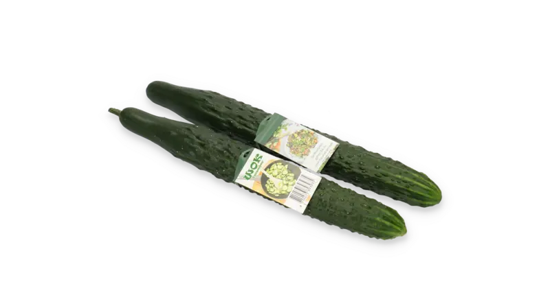 Вокью F1